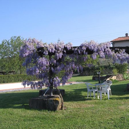 Agriturismo Villani Poderi Nesti & Cupoli Lastra a Signa Luaran gambar