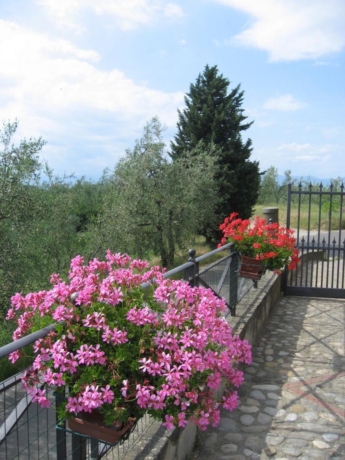 Agriturismo Villani Poderi Nesti & Cupoli Lastra a Signa Luaran gambar