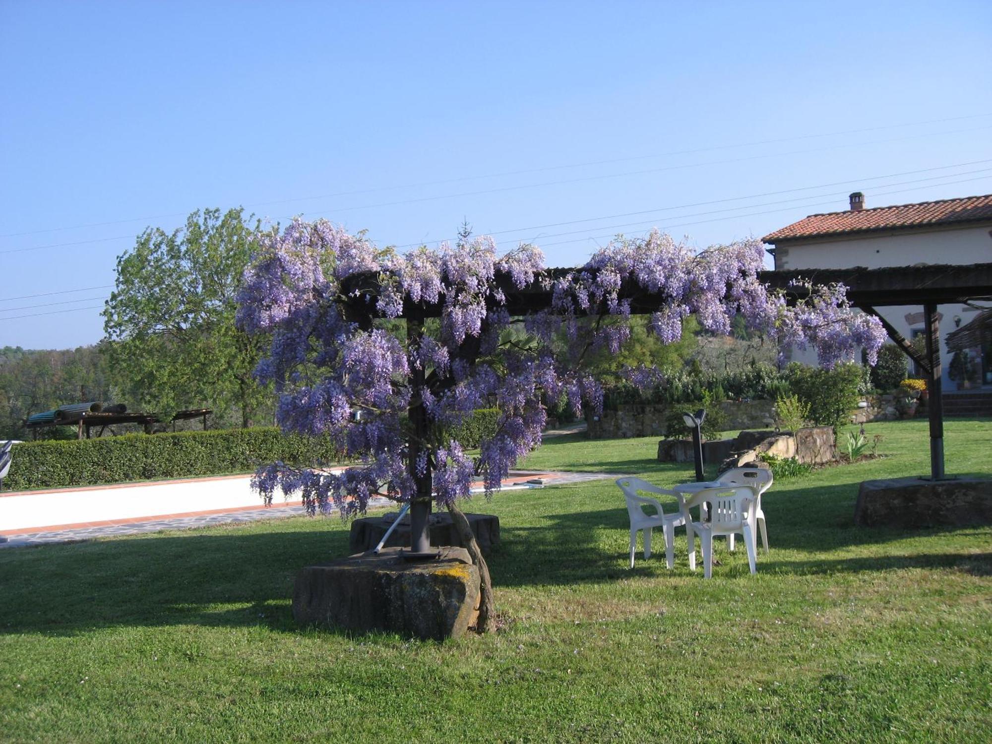 Agriturismo Villani Poderi Nesti & Cupoli Lastra a Signa Luaran gambar